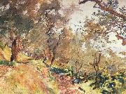 John Singer Sargent Trees on the Hillside at Majorca painting